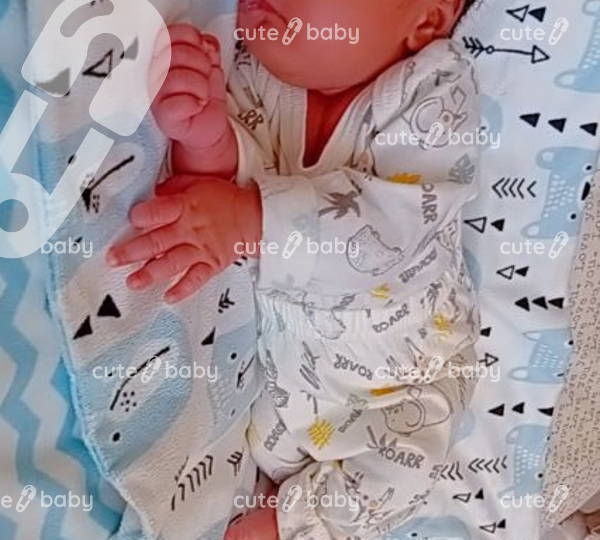 Ayaan