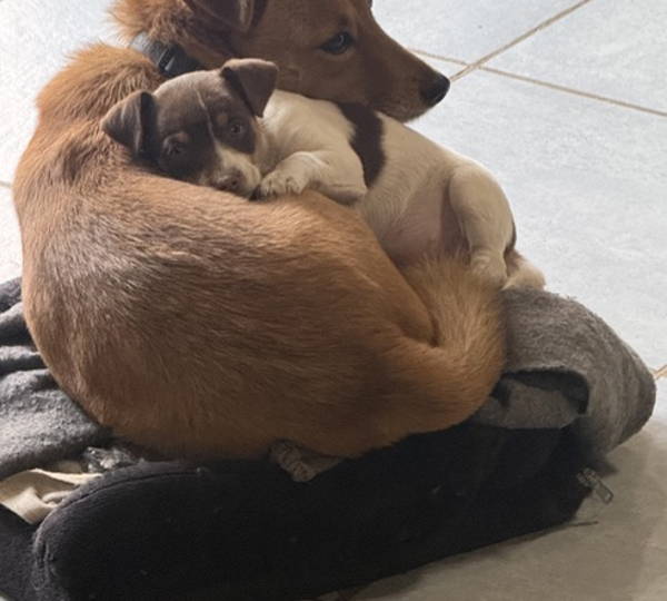 Lucy & Nesta
