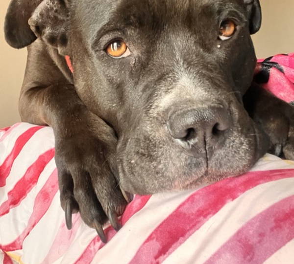 Skye