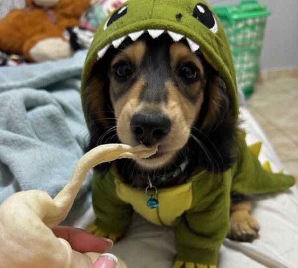 Peanut