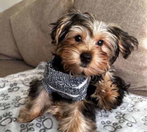 Coco