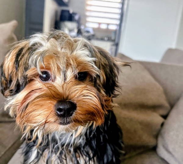 Coco