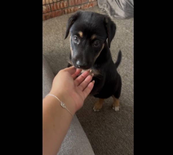 Ellie