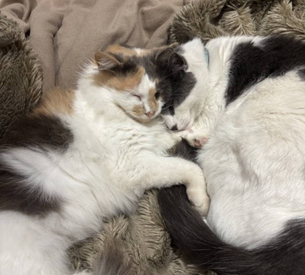 Leila & Dusty