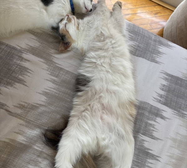 Leila & Dusty