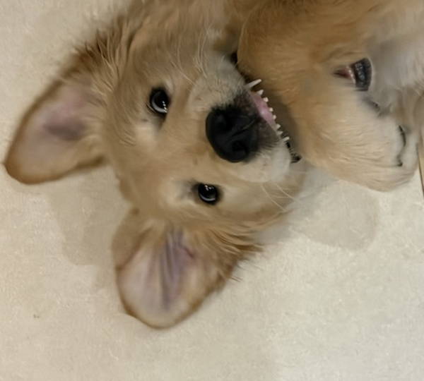 Zoey