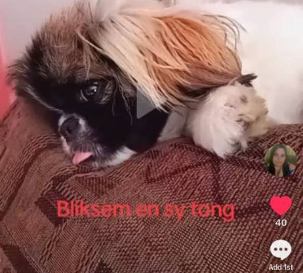 Bliksem