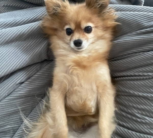 Gabby