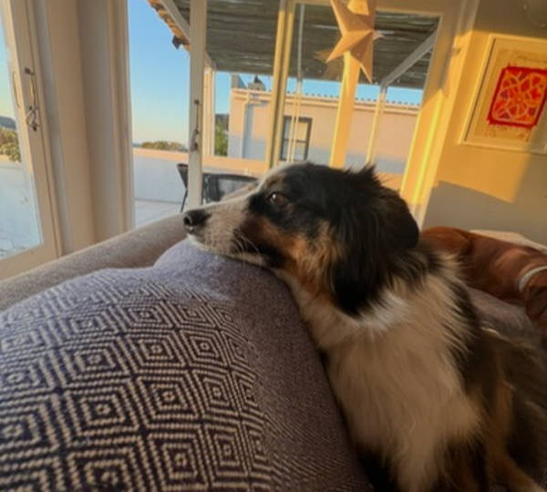 Archie