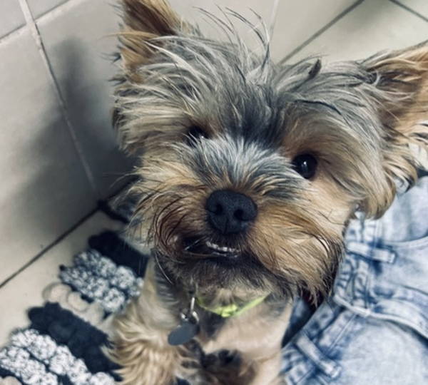 Bennie