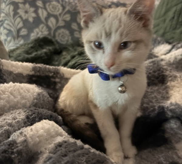 Leo