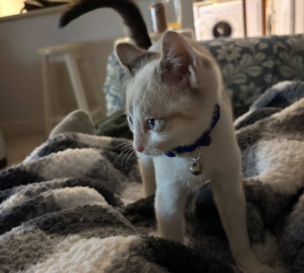 Leo
