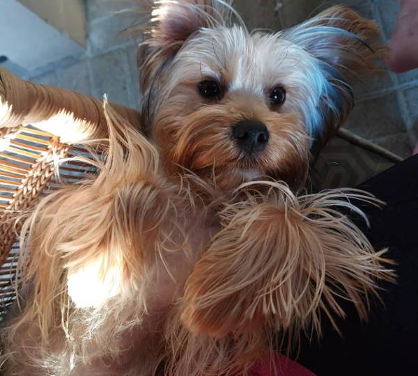 Lilo