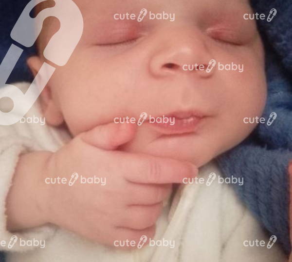 Kayden