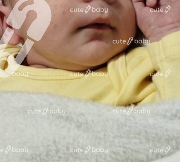 Kayden