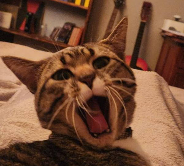 Jinx