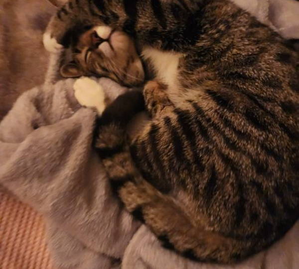 Jinx