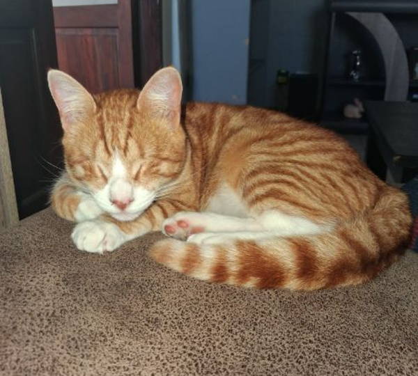 Tiny