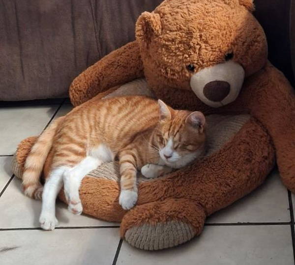 Tiny