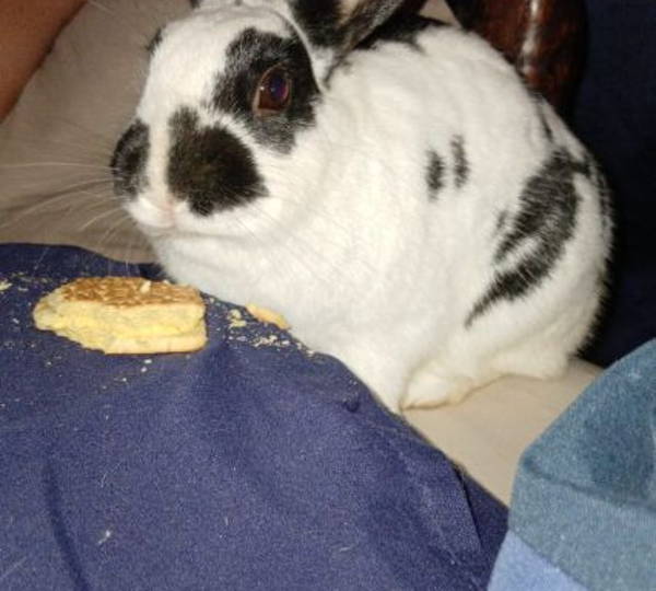 Patches
