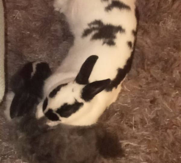Patches