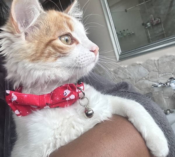 Oakley