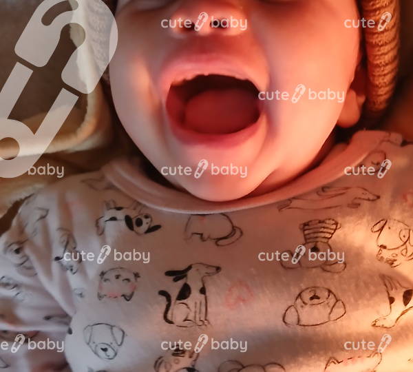 Avrie