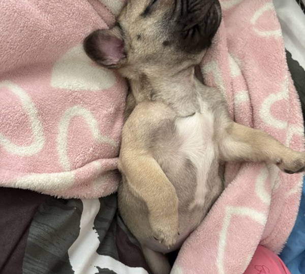 Luna