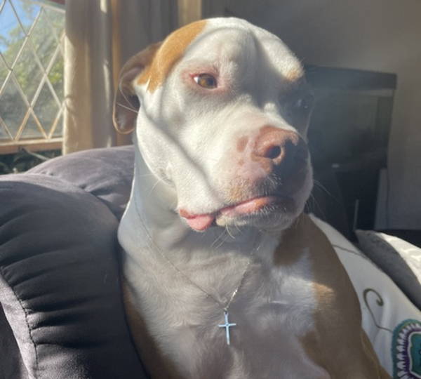 Nala