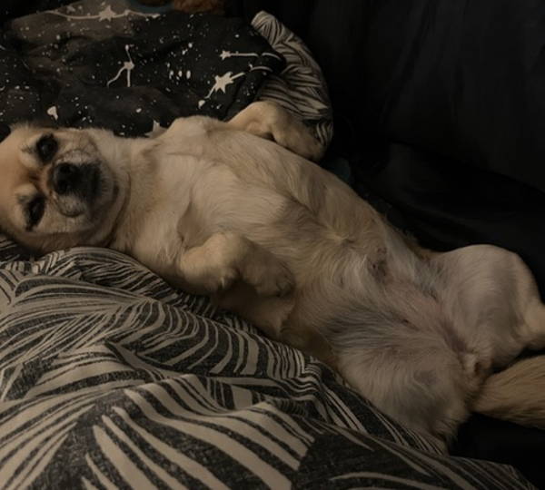 Rosie