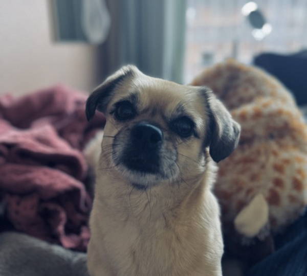 Rosie