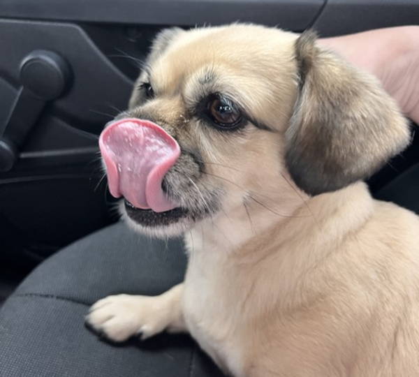 Rosie