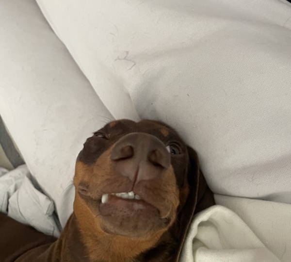 Frank