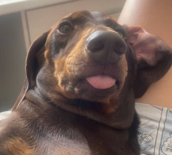 Frank