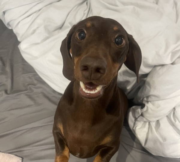 Frank