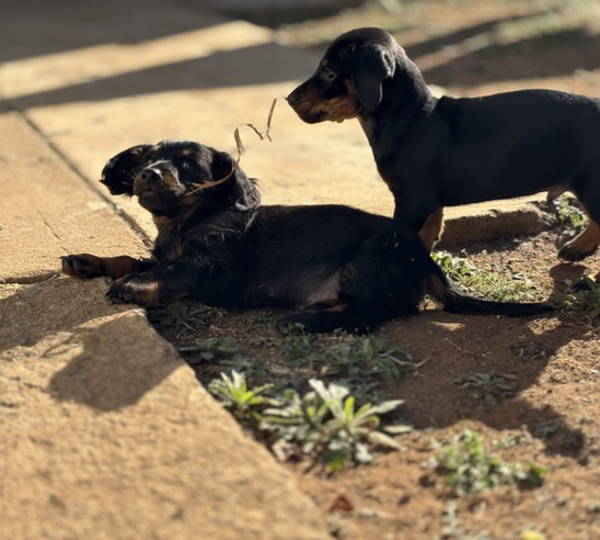 Zeus & Hades
