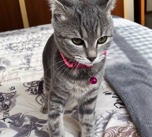 Luna