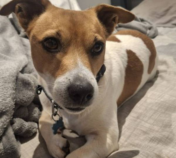 Skye