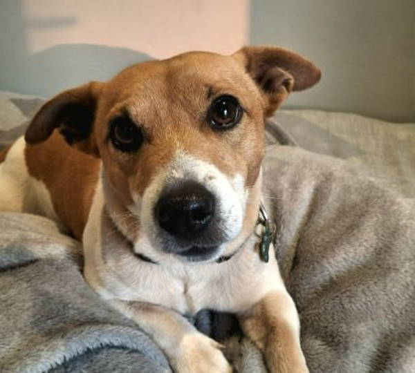 Skye