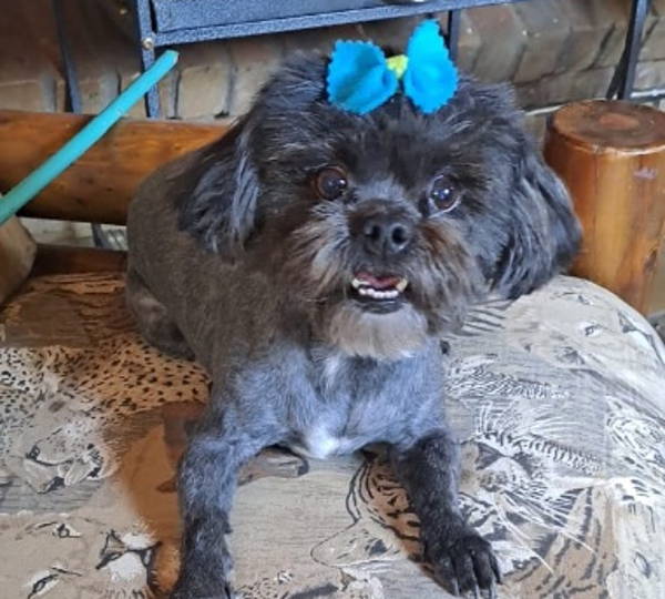 Lulu
