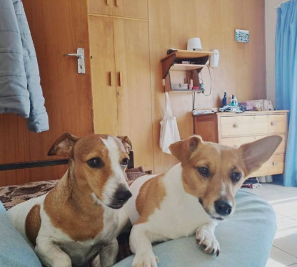 Lexi And Luna