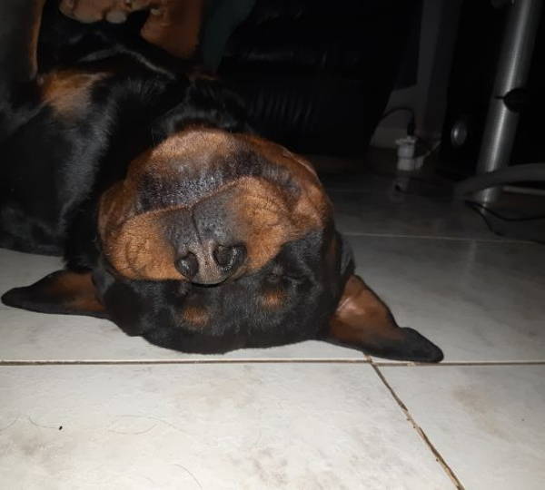 Tyson
