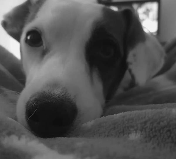 Bella
