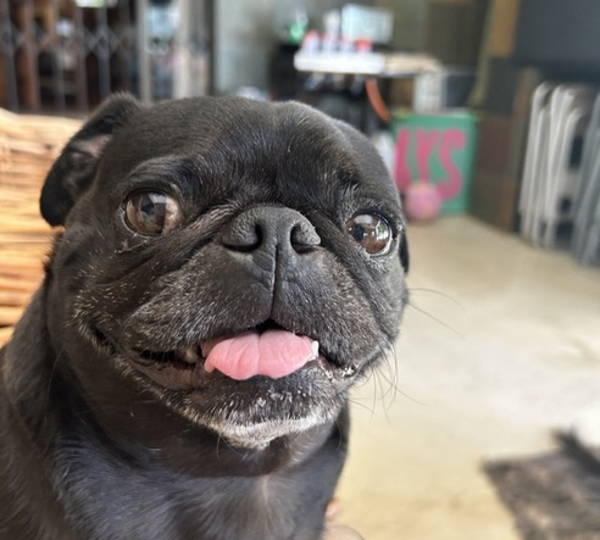 Missy