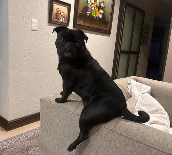Missy