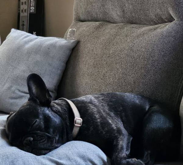 Luna