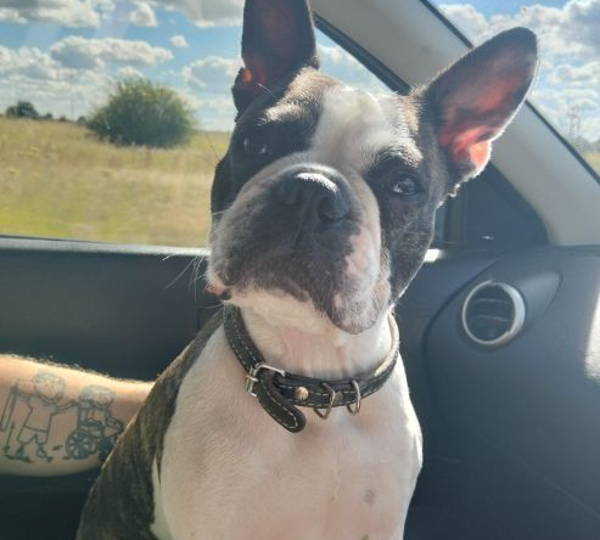 Roxy
