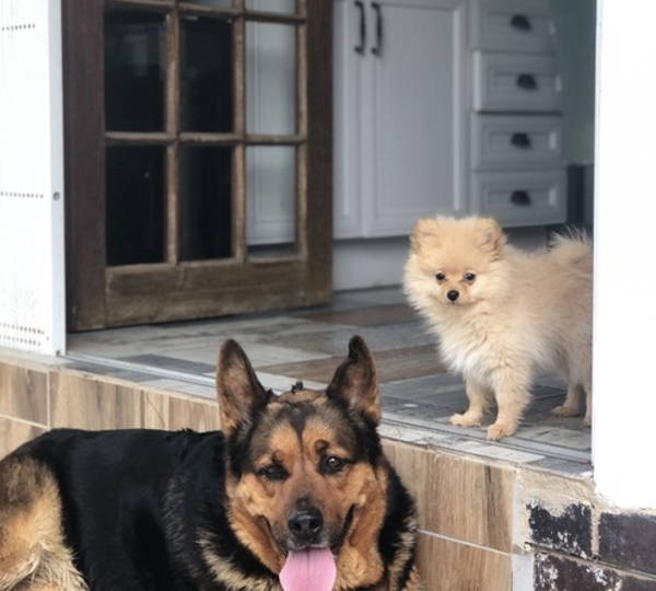 Kody & Zoey