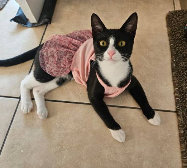 Chloe