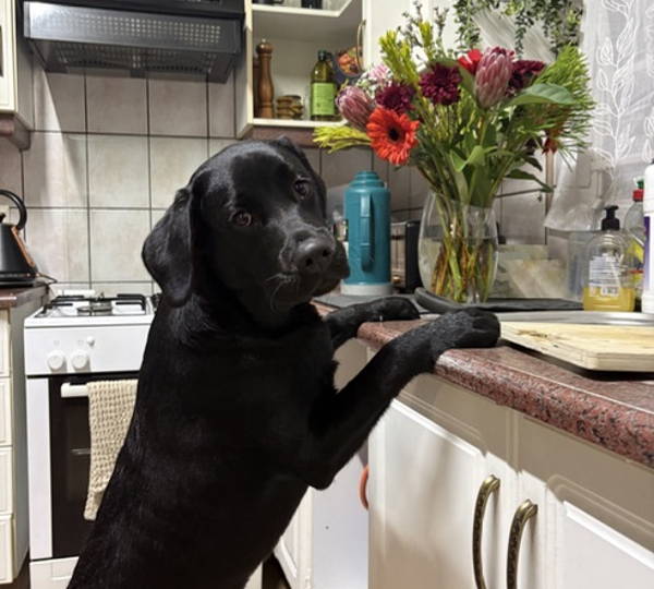 Oliver